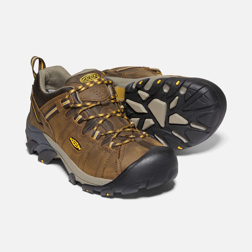 Chaussure de Randonnée Keen Homme Marron | Targhee Ii Waterproof | KRXUA-8732